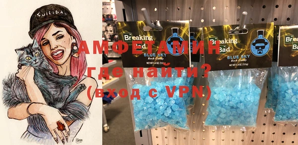 индика Ижевск