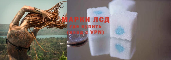 PSILOCYBIN Переславль-Залесский