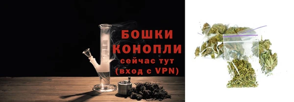 PSILOCYBIN Переславль-Залесский