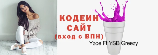 PSILOCYBIN Переславль-Залесский