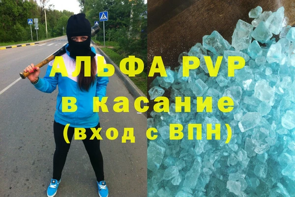 PSILOCYBIN Переславль-Залесский