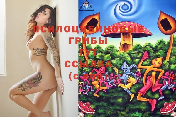 меф Пестово