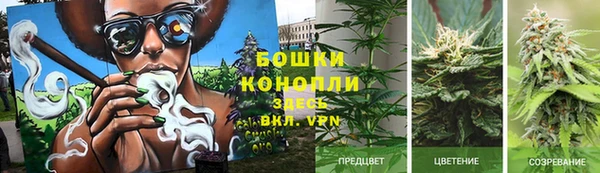 PSILOCYBIN Переславль-Залесский